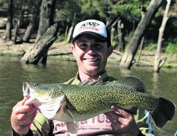 Not all Murray cod are monsters. Ian Ryan was more than happy with this river fish caught near Goondoowindi.