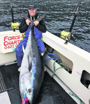 Captain Brett Sharp showing off a huge 133kg southern bluefin taken on a Lake Macquarie-made Colorato Lure in Brett’s home waters off Tassie aboard Force 10 Fishing Charters. (Picture courtesy of Force Fishing Charters, Tasmania.)