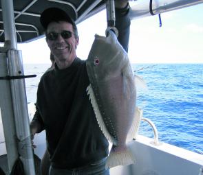 There will be plenty of decent sized species on offer in October, like this tuskfish.