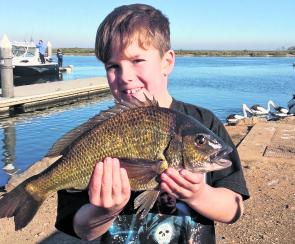 Seven year old, Jake Bice, displays a cracking Werribee River bream taken on tube worms. 