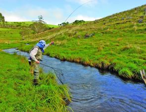 A fast fish in fast water. That's Ebor rainbow trout fishing at its best. 