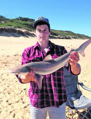 Alex Zwierlein holds up this bronze whaler caught casting baits during the day at Golden Beach.