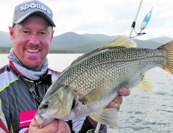 Casting spoons like this Hot Bite 20g Gang Banger is one of the easiest ways to catch bass at this time of year. This chunk was caught from Pelican Point at Somerset Dam.