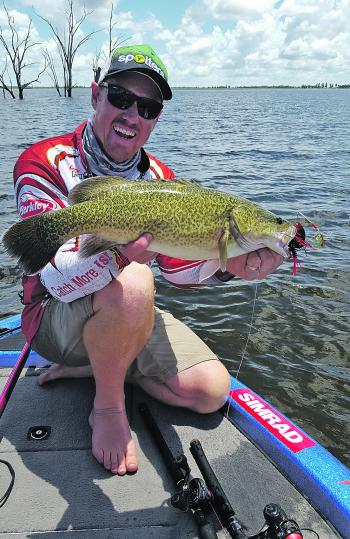 Murray cod should still be lurking around the timber in Coolmunda. Big spinnerbaits are the way to tempt them.