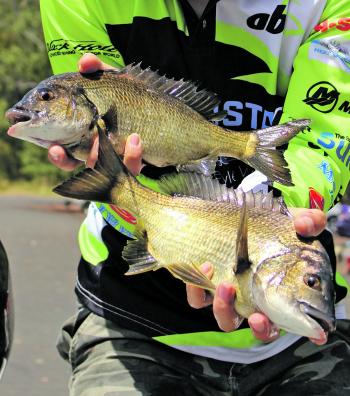 Some quality fish taken during a fun surface luring session.