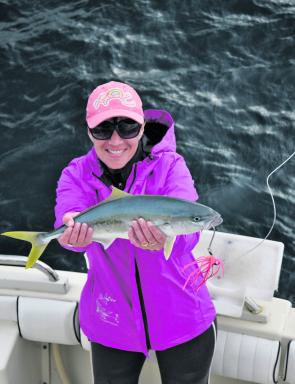 Kingfish are among the many predators that are offshore.