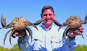 The crabbing has been sensational this year with plenty of pots full of big buck crabs.