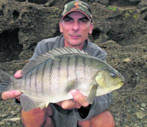 April is a very reliable time to chase blackfish off the rocks and they are normally good-sized fish.