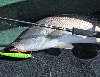 Brightly coloured lures like the 120 Laser Pro are a good choice when the water is murky around the bigger tides.