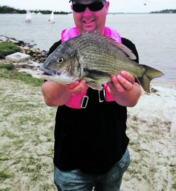 Steve Hume has a knack of finding the largest bream around the Paynesville area and the shallows are where the big fish are feeding right now.