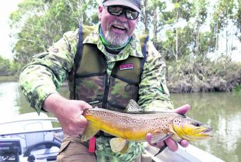 Tassie’s wild brown trout are truly awesome fish!
