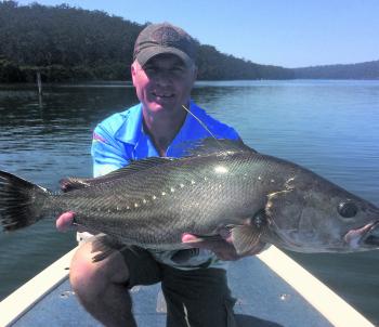 Darren 'Cookie' Cook with a nice mulloway that was tagged for future fisheries research. Hopefully it will be caught again and the information can be put to good use.