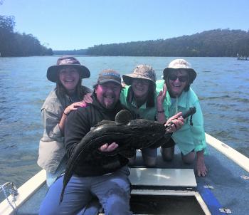 The ladies and the author with a cracking 85cm flathead from the upper reaches of Wagonga Inlet. This beautiful croc was released in great condition.