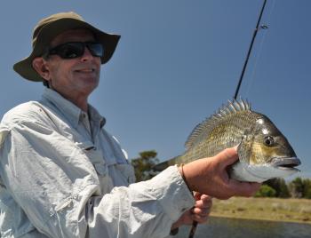 Take a look in the shallows of Wallaga Lake for bream like this.
