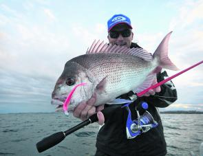 The author with a reasonable inshore snapper caught on a soft plastic.