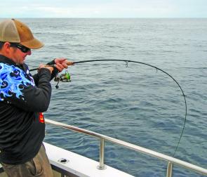 Jigging with the little LOX rod in 90m of water on ‘bream gear’ produced a string of hot fish.