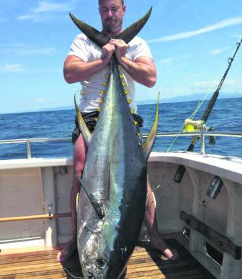 The Holy Grail of tuna fishing, this big yellowfin tuna shows some glorious golden sickles.