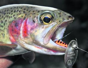 Yearling rainbow trout will be readily available in the family-friendly waterways during July.