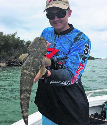 Decent flathead caught from a productive session using ZMan 4” SwimmerZ, imitating a mullet.