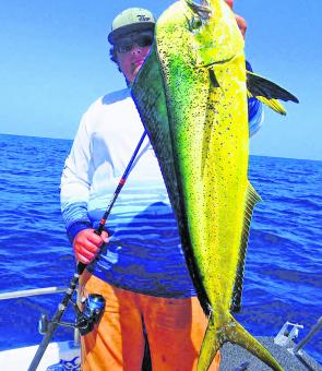 Mahimahi are still being taken out wide before they migrate north for winter. These high-flyers acrobats really put on a show when hooked – they look awesome, too!