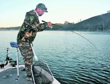 A light spin rod is all you need for this type of fishing. If you are fishing around a lot of timber, a heavier spin rod or light bait cast setup might save you a few bust-offs.