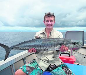 David Mayes caught this sample of the Spaniards that will be on offer in May around Cairns.