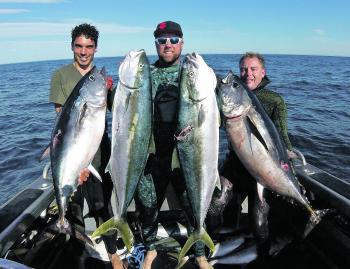 Colby Lesko, Scott Gray, and Christian Hughes had a big day on the water with kingies and SBT.