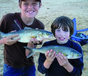 Zac and Ty Rendell with some cracking surf salmon.