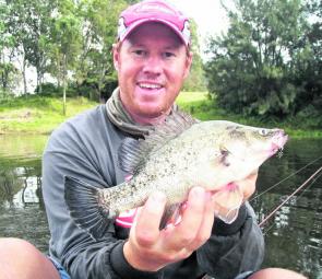 Golden perch will be willing to take lures in the rivers, creeks and dams. Trolling drop-offs and casting to points and structure will get you into the action.