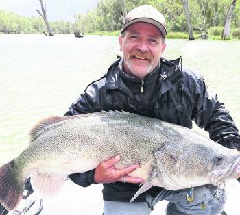 Paul Healey's 116cm monster caught during the Mulwala Classic.