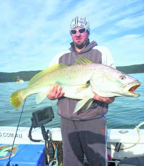 Paul Naraj tagged and released this 126cm fish using a live yellowtail and 40lb tackle.