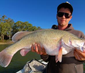 Haydn Ferguson with an average sized autumn cod for the Murray River. 