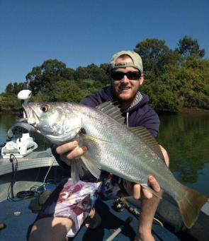 Mulloway are a great target in the cooler months and the Pine River can produce some really good fish.