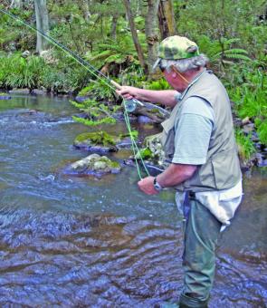 The spring-fed trout creeks have been a little more consistent than other streams.