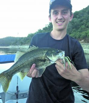 Ethan Martin spinnerbaited this bass from a steep bank in Glenbawn.