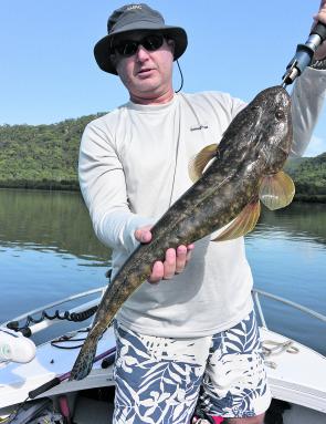 The odd bigger flathead have been active in the lower reaches. This 73cm fish fell to a 4” paddle tail soft plastic on light spin tackle.