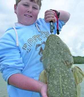 Large flathead are common in the Bega River.