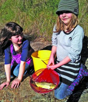 The girls loved finding new homes for the trout.