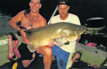 Fish like this 140cm behemoth are lurking in Eildon’s waters. 