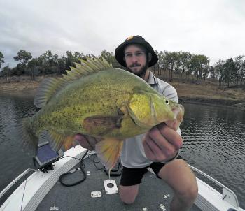 Ethan cross caught this quality Boondooma yellowbelly and a few others dredging 5/8oz spinnerbaits off points.