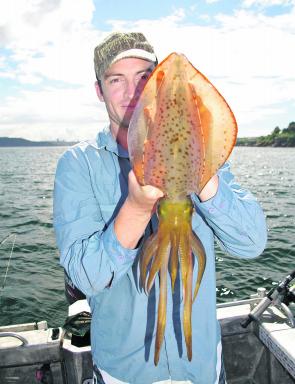 It’s time for big squid, which are the best bait for the big jewies in the bays and rivers at this time of year.