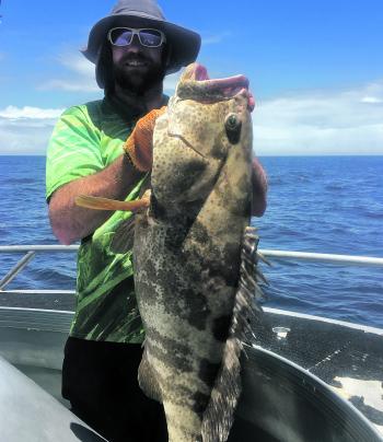 Plenty of cod are on the bite throughout summer.