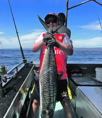 Great Spanish mackerel are on the chew.