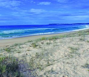 Haywards Beach, north of Bermagui, on a low-energy day when the salmon weren’t at home – but they could have been.