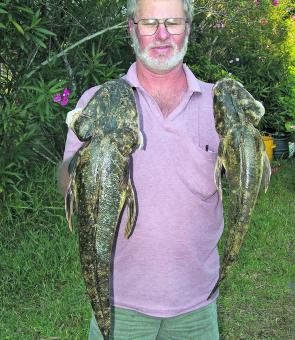 Chris Jelfs got these two flatties on Gulps over sand and short weed beds. Flathead have been around in big numbers in recent weeks.