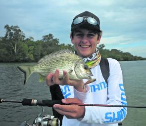 Bream can provide great fun on surface lures while you’re waiting for the flathead bite.