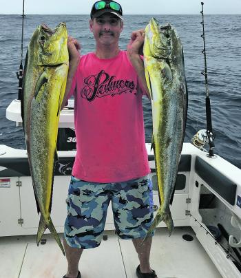 Gavin McCallum owner of McCallums Tackle World Nowra with a pair of mahimahi also caught off the floating pallet. They managed around 20 fish over 1m but only kept what was needed for a feed.