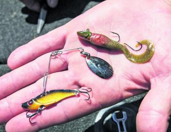 Lennox relied on these two baits to take the title. A Yamba Blade dressed with a beetle spin, and a Berkley Minnow Grub.