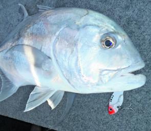 There should be plenty of active GT fishing on offer this month, especially around the islands and reefy structures.