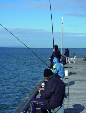 One of the good things about catching garfish is that you don’t necessarily need a boat to be successful. There are plenty of good land-based spots, such as piers, all around the Bay.